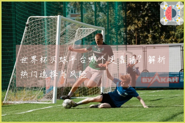 世界杯买球平台哪个更靠谱？解析热门选择与风险