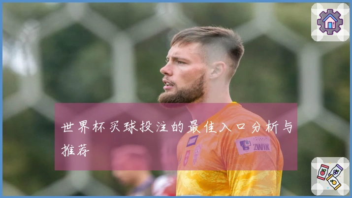 世界杯买球投注的最佳入口分析与推荐