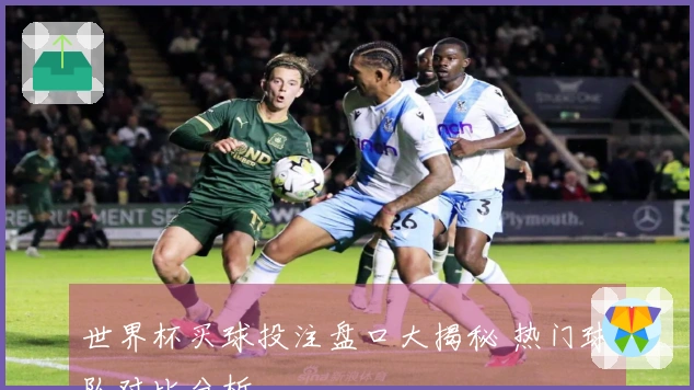 世界杯买球投注盘口大揭秘 热门球队对比分析