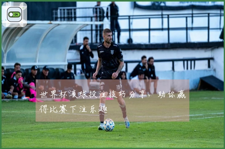 世界杯滚球投注技巧分享，助你赢得比赛下注乐趣