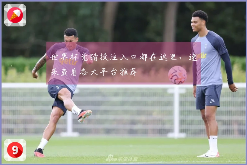 世界杯竞猜投注入口都在这里，速来查看各大平台推荐