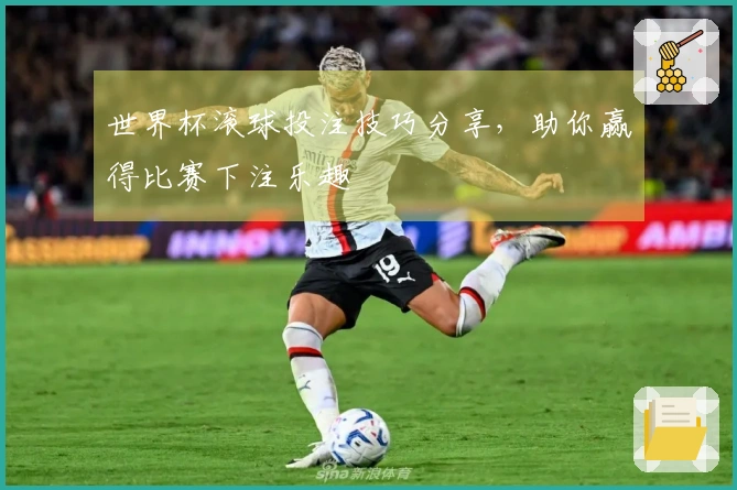世界杯滚球投注技巧分享，助你赢得比赛下注乐趣