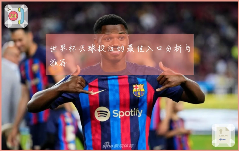 世界杯买球投注的最佳入口分析与推荐